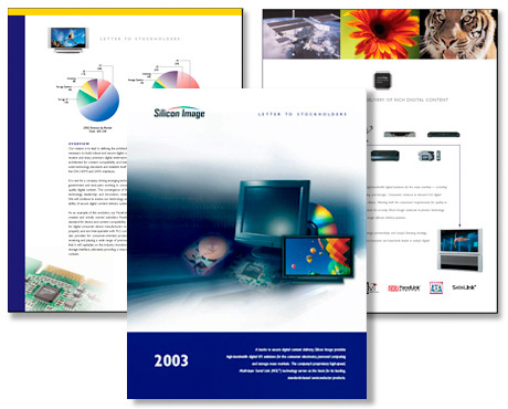 Silicon Image 2003 Annual Report